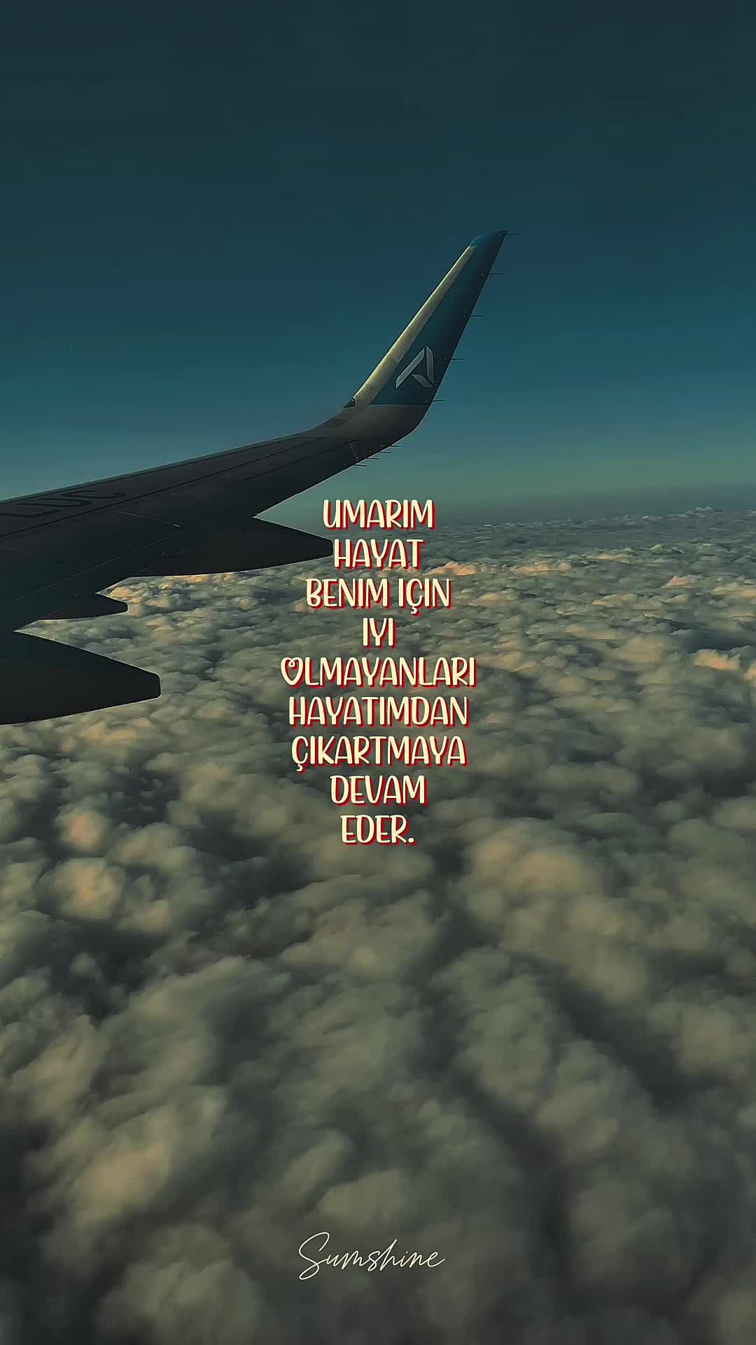 @ℳ ᥫ᭡