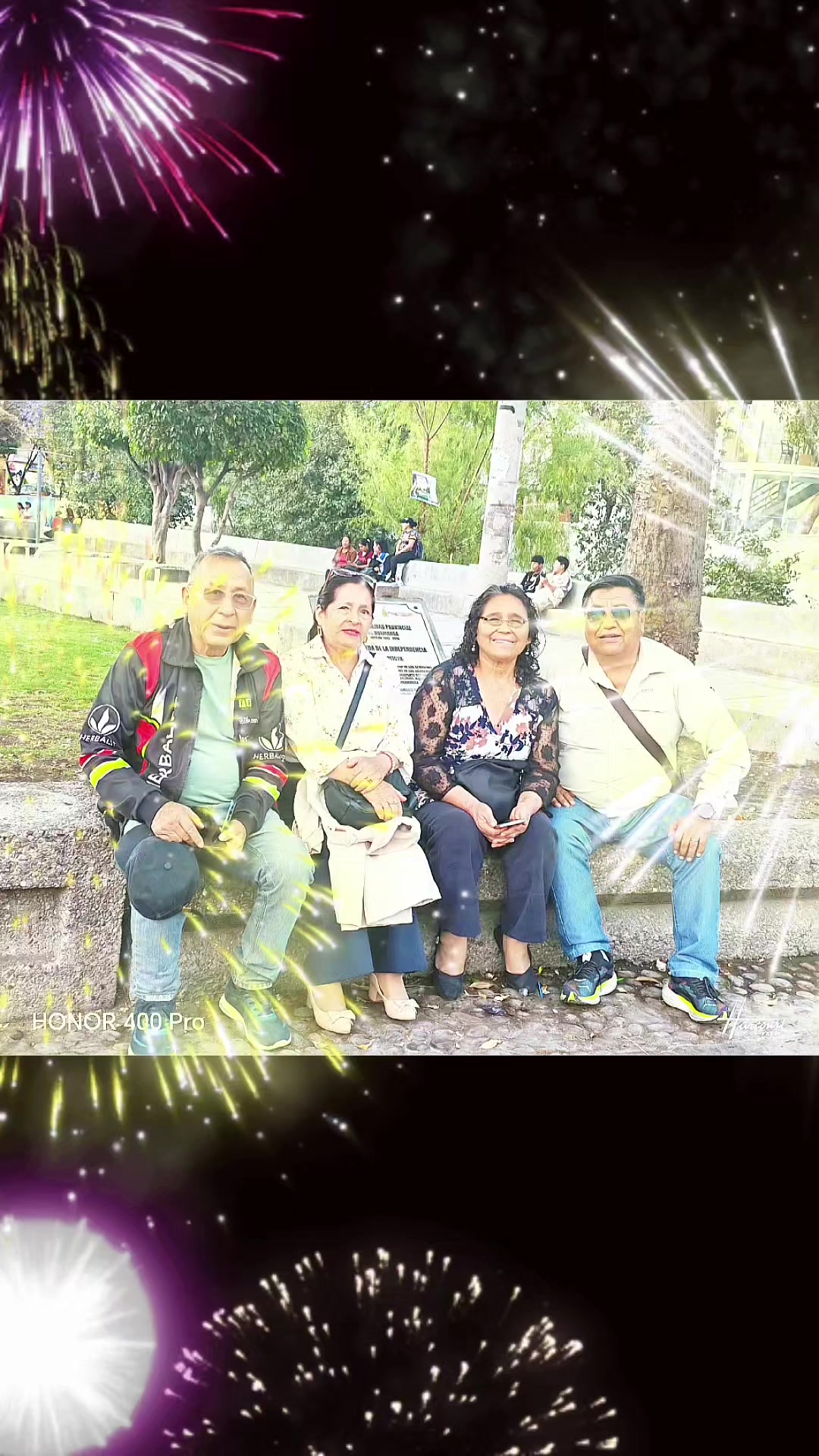 @David F. Martinez Paucar