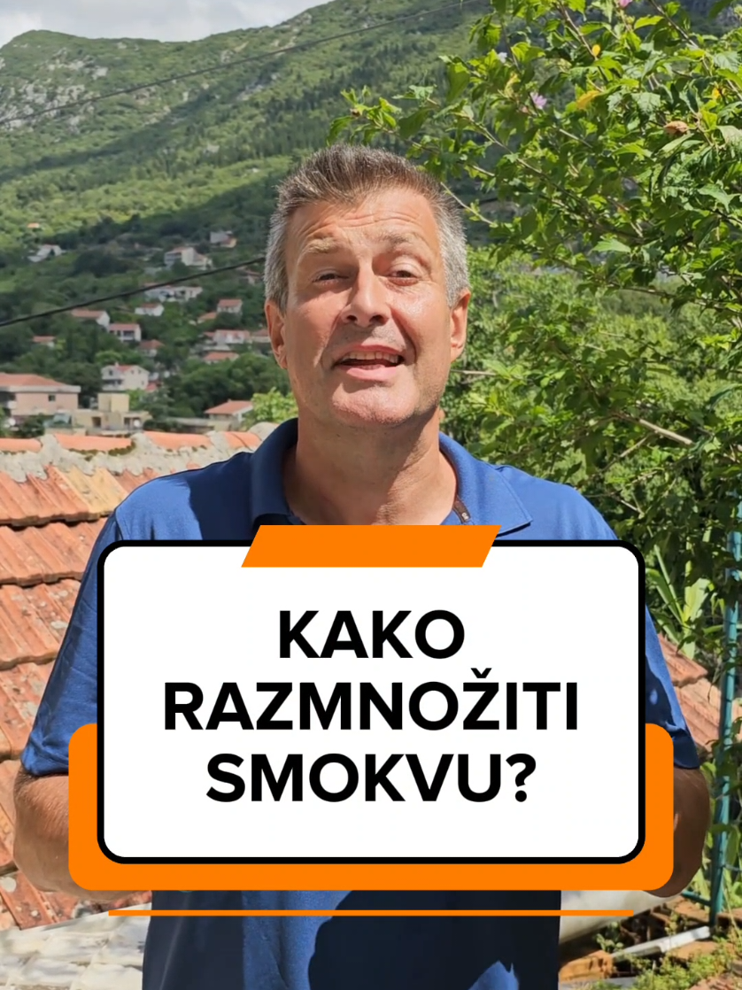 @Dejan Dragićević