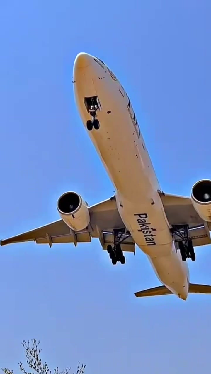 @aviation by zaibi🦅