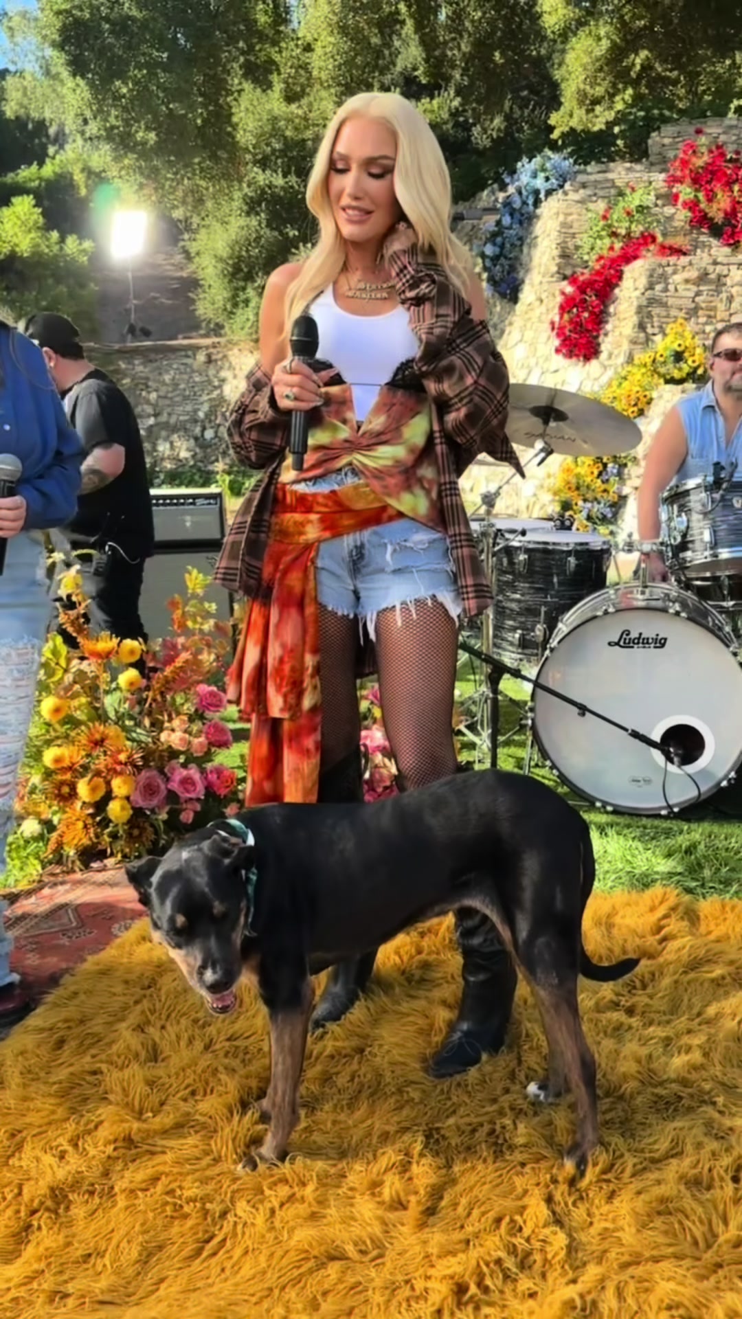 @Gwen Stefani