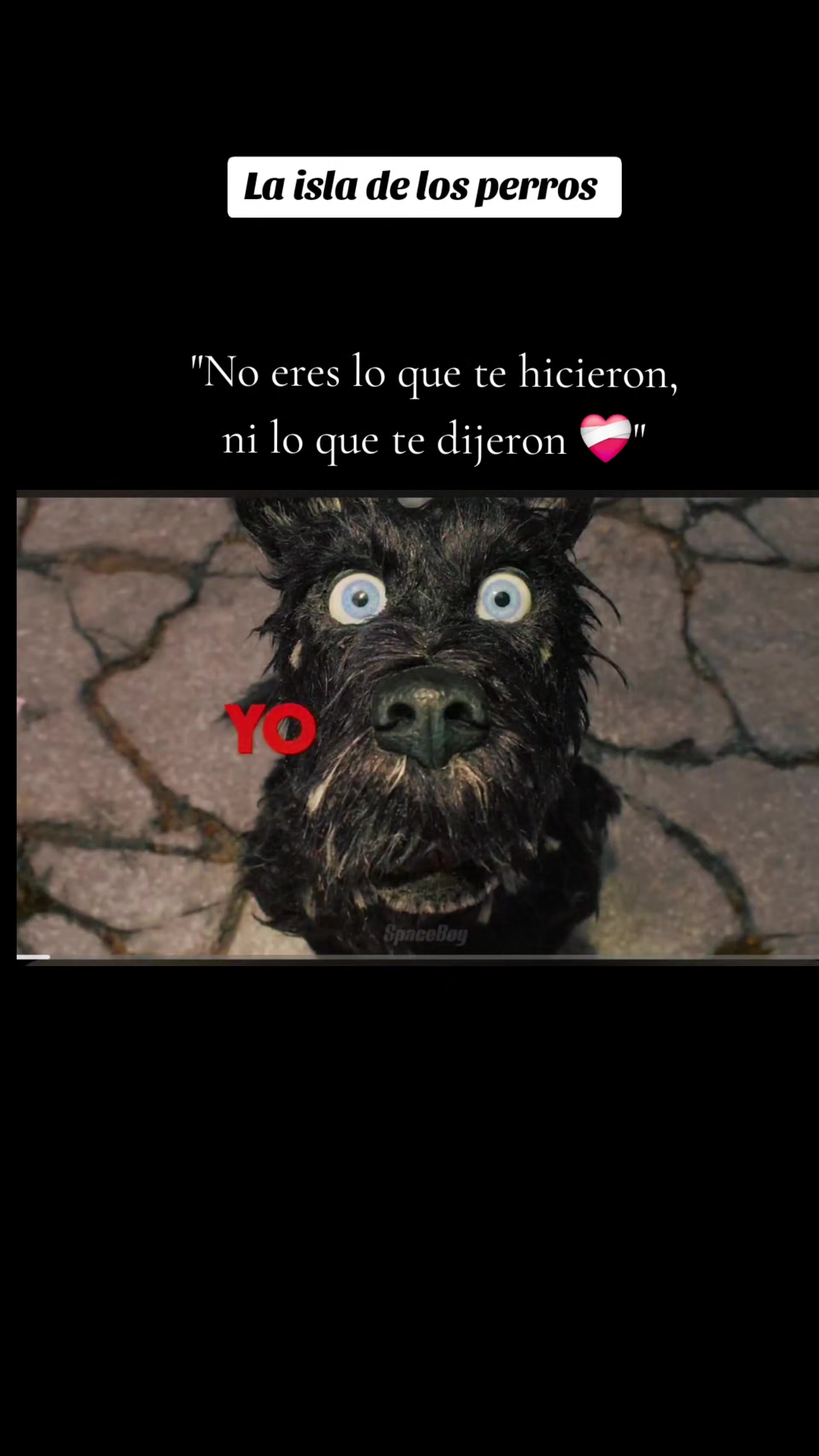 @Gabriella ✝️☦️