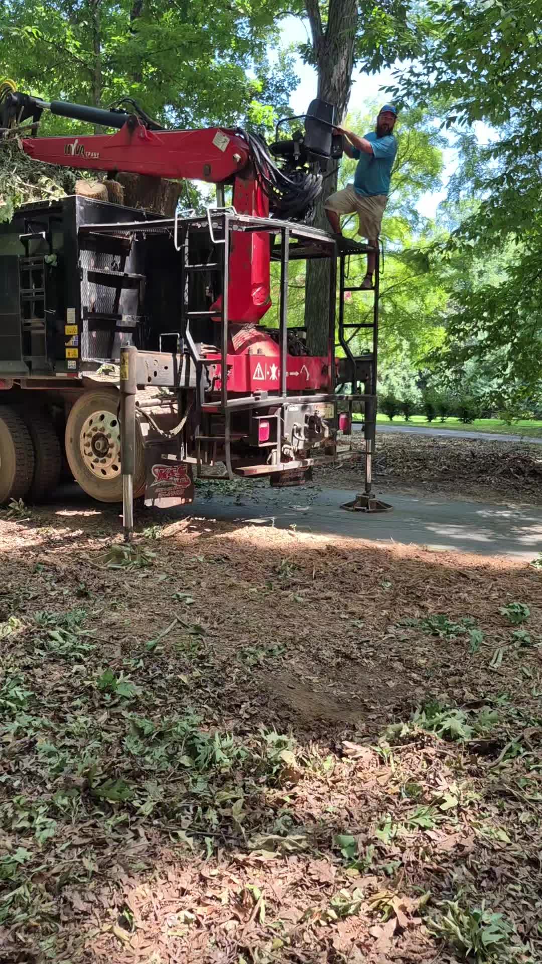 @R&G tree and landscaping