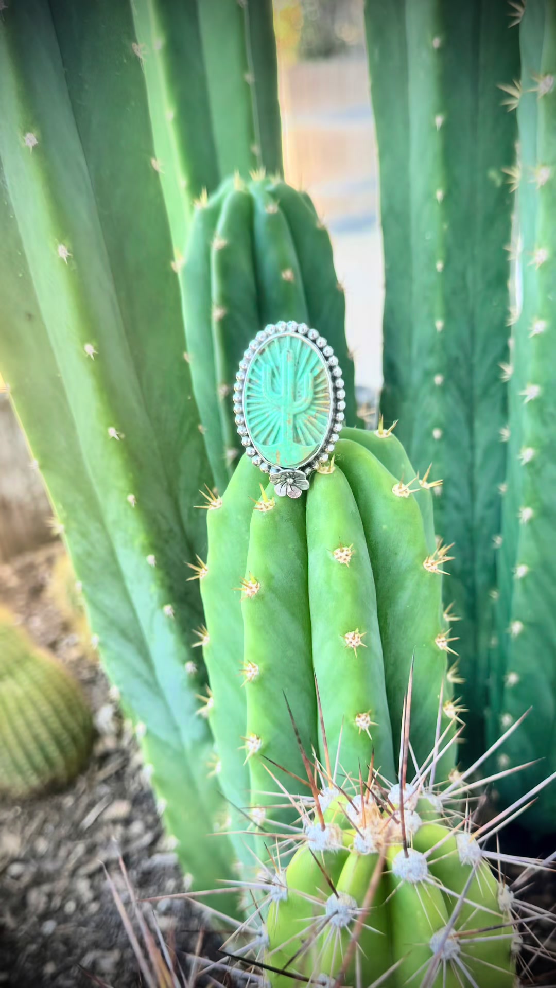 @WildryeSilverCo 🩵🌵