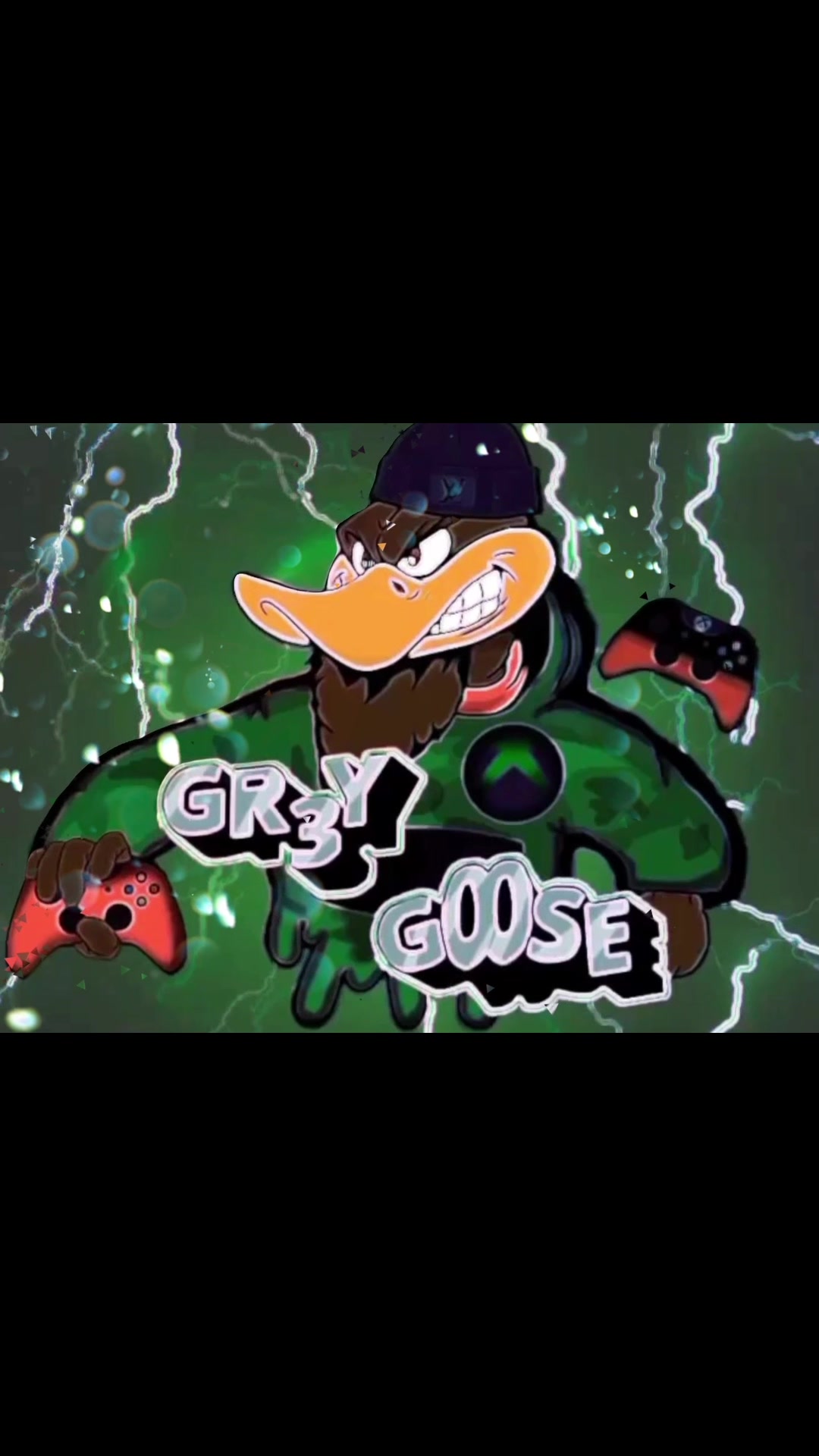 @Gr3y Goose