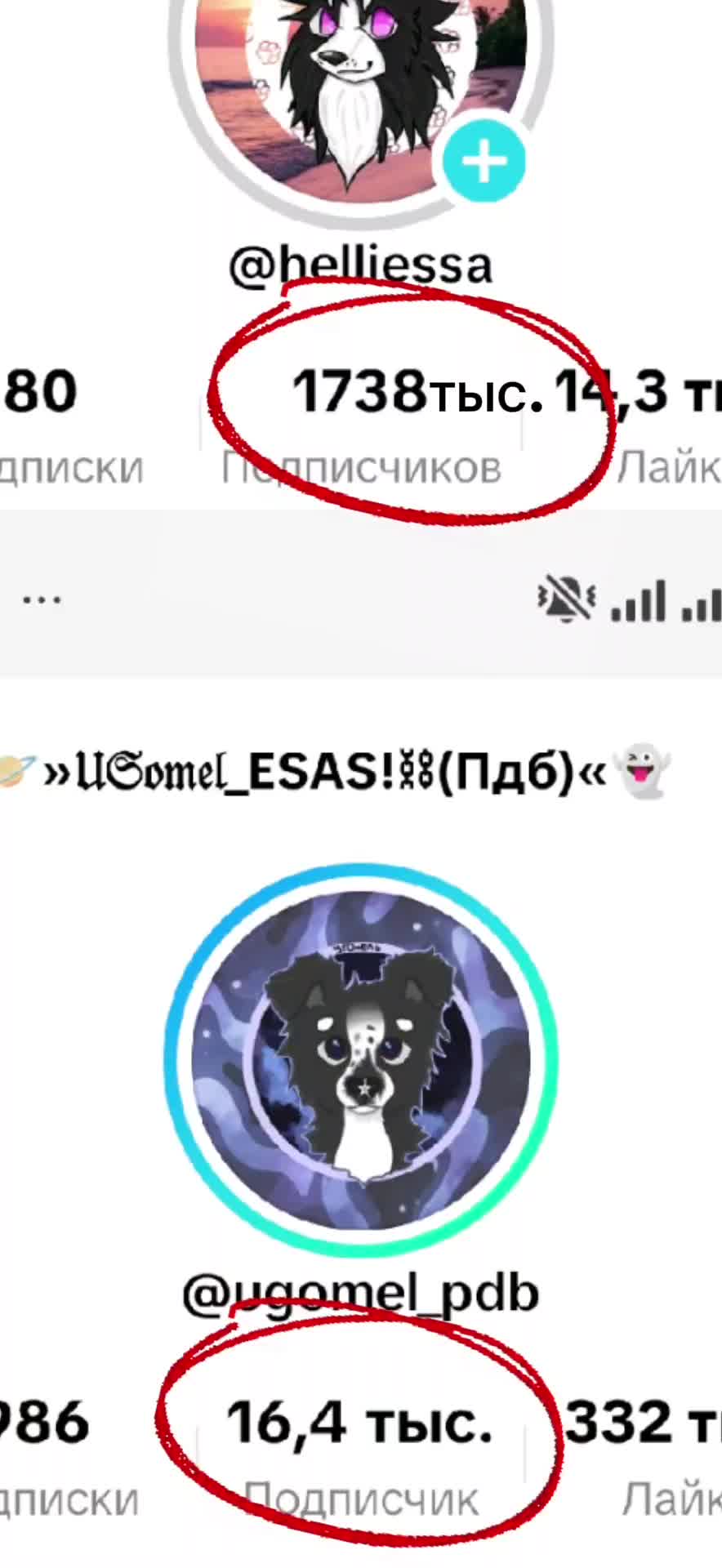 @🍦АБРИКОС🌫️[PDB] [ESSA]