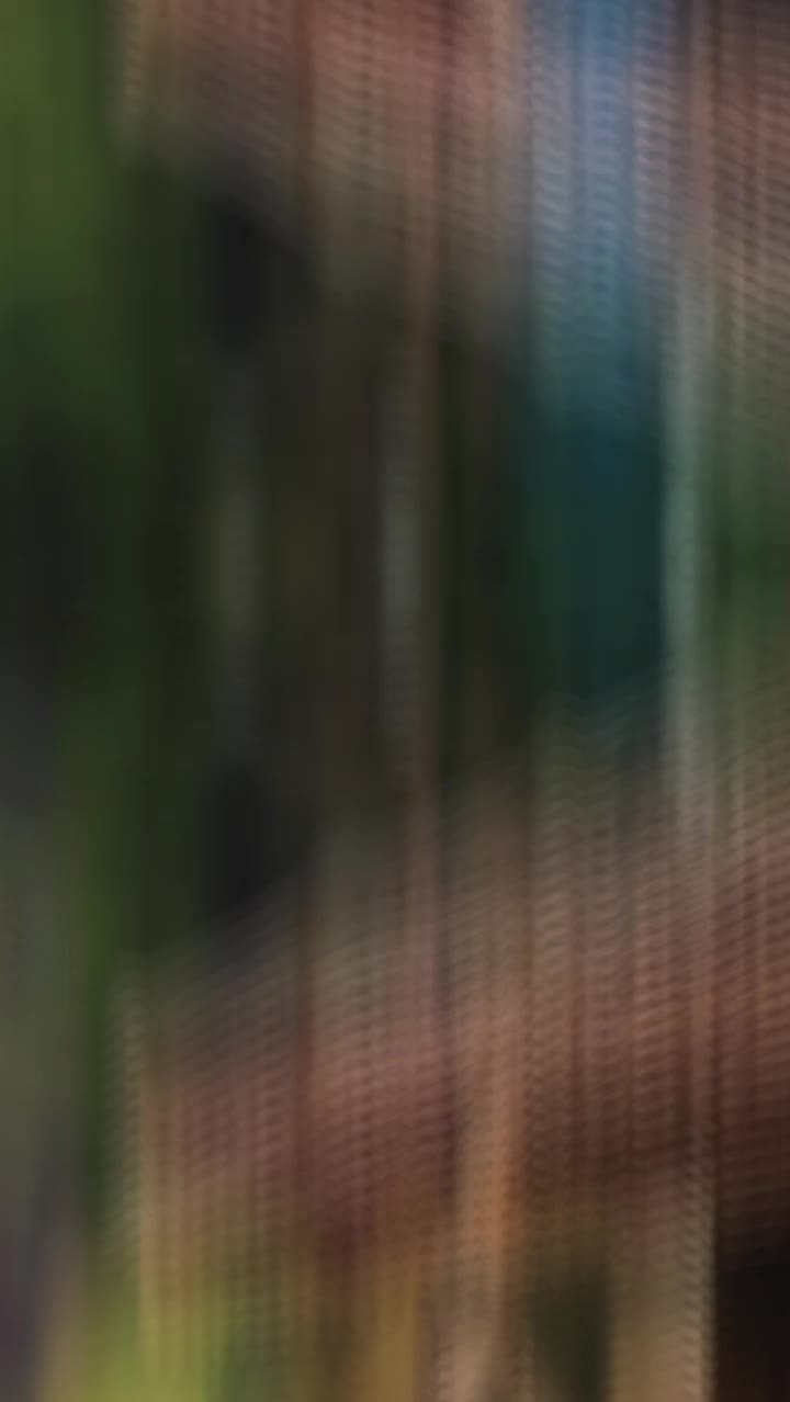 @☆꧁✬◦°˚°◦. 𝓐𝓶𝓶𝓾.◦°˚°◦✬꧂☆