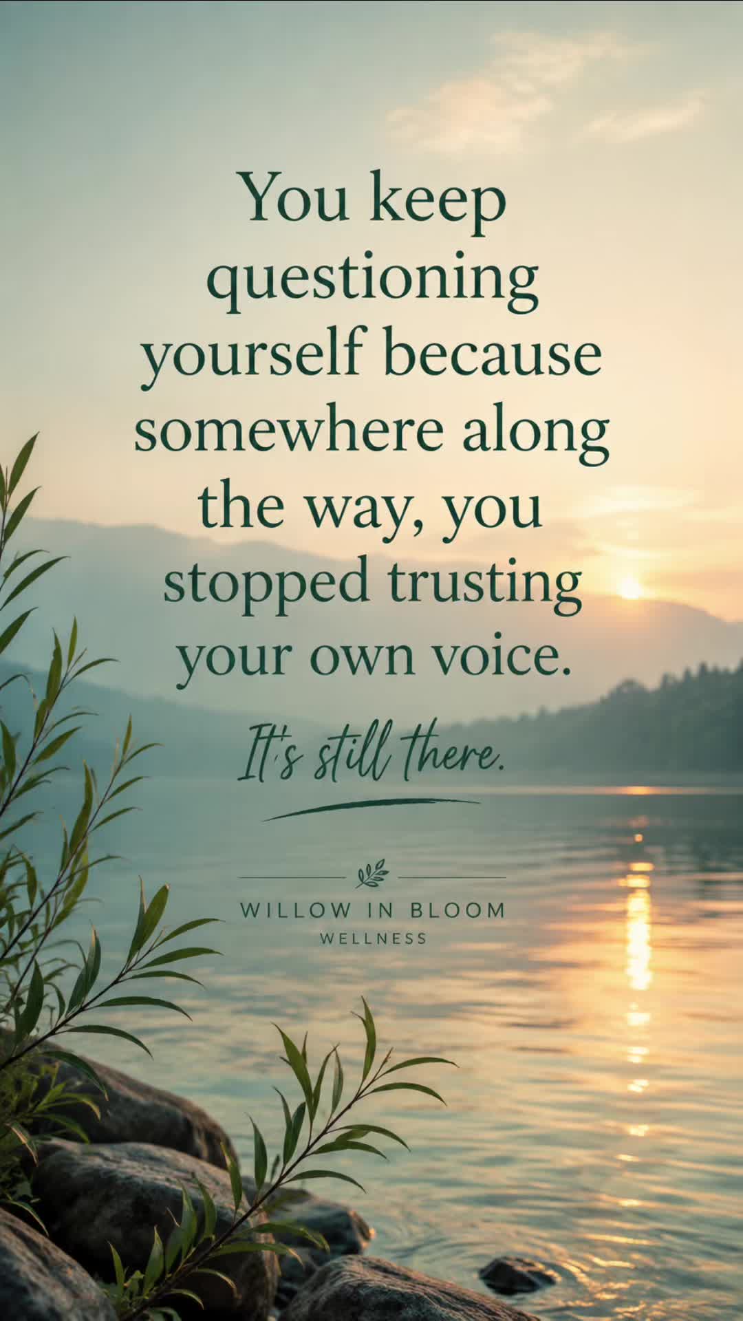 @willowinbloomwellness