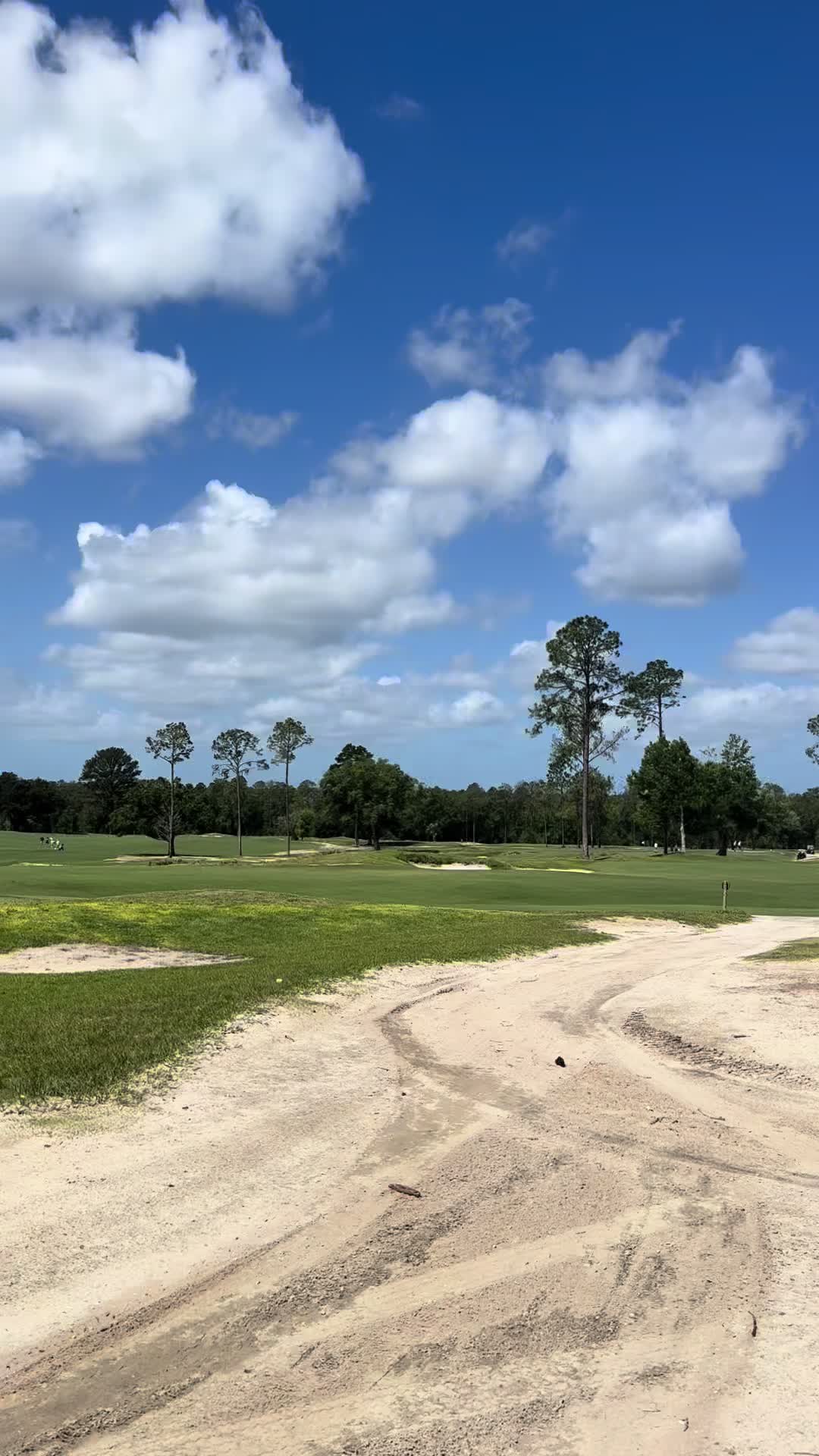 @B S Golf
