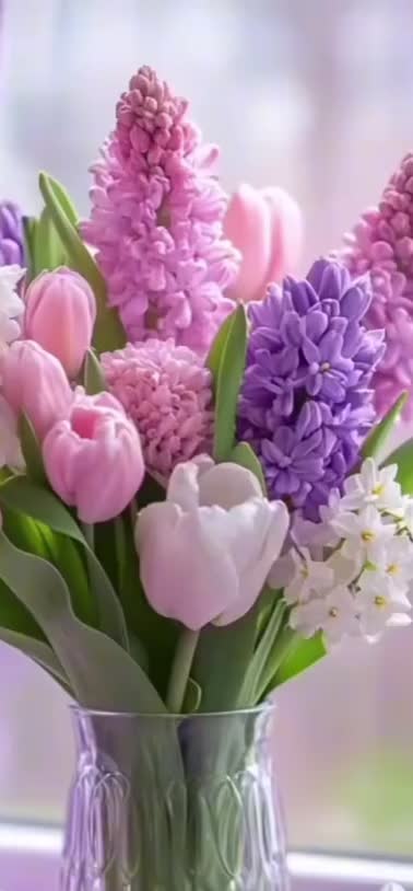 @Shankaroon🥷❤️