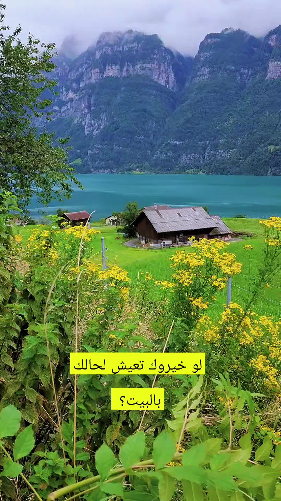 @Akil Alhalmi عقيل الحالمي
