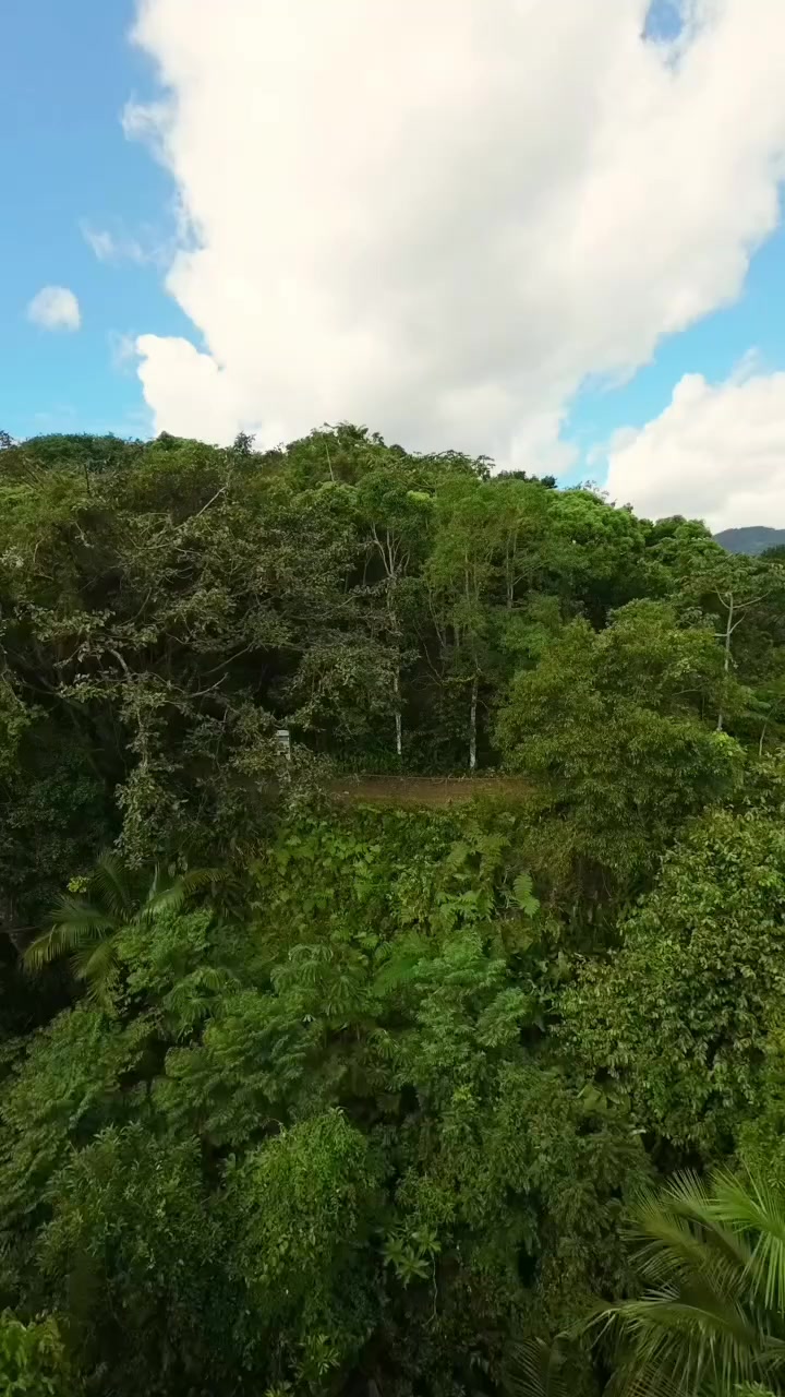 @nascidosparavoar