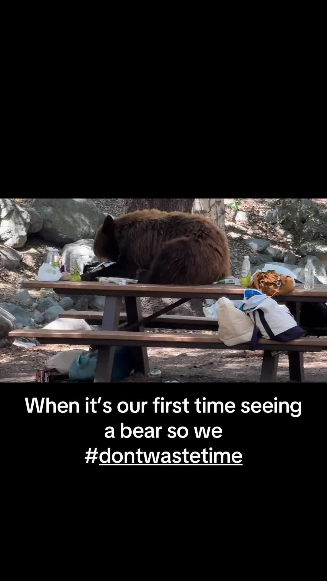 @pastelmustache