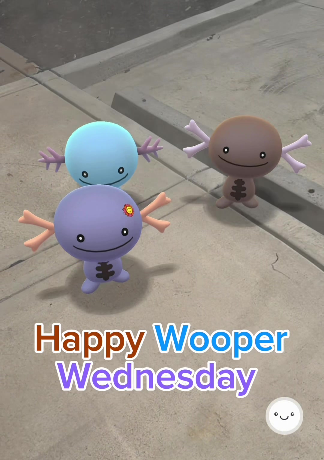 @The Wednesday Wooper