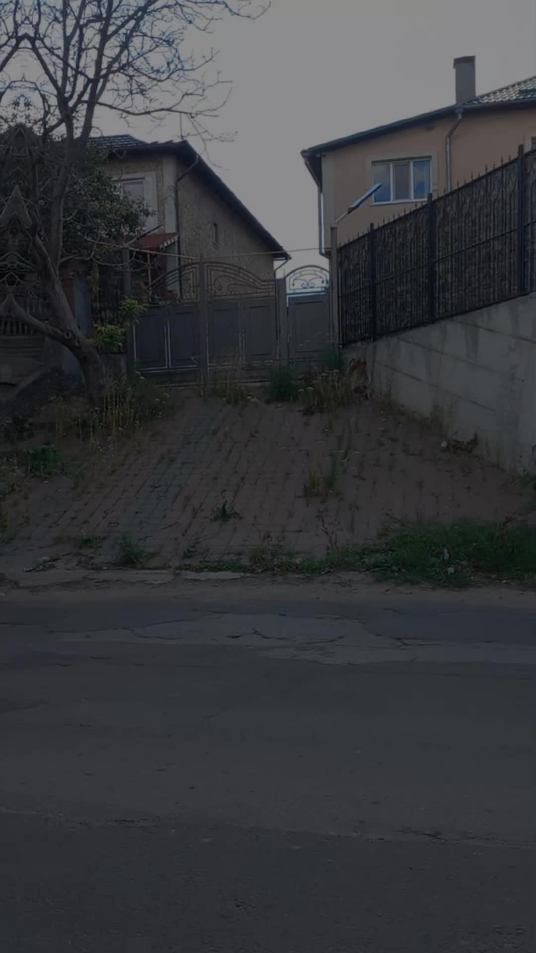@Umidjon