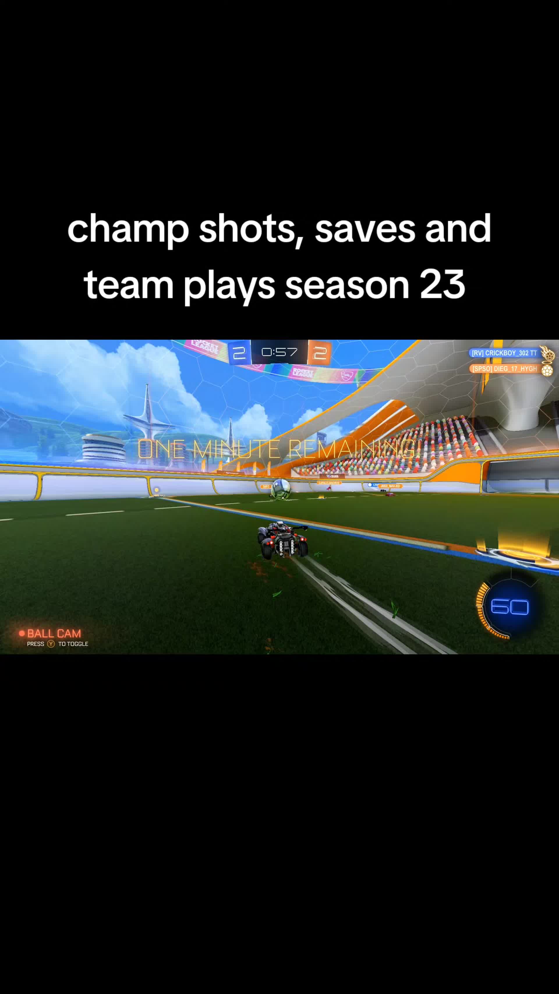 @That1BearGuy - RL