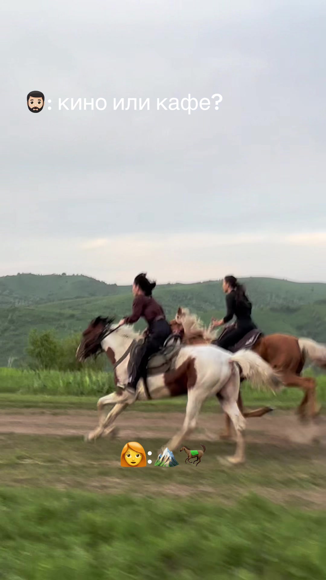 @tulpar_horses