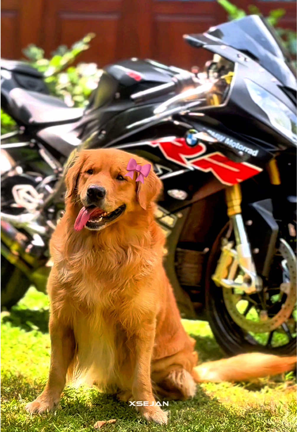 @𝐱𝐒𝐞𝐣𝐚𝐧𝐟𝐟𝐱!🪽