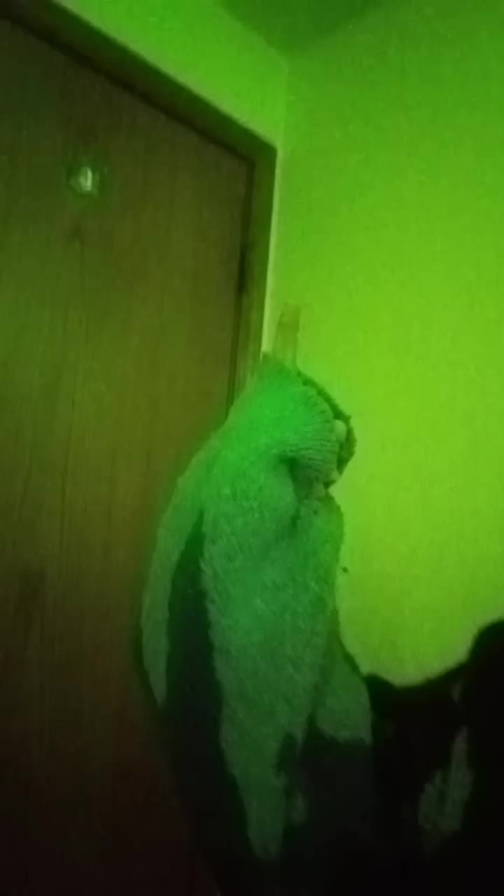 @Quackaholic