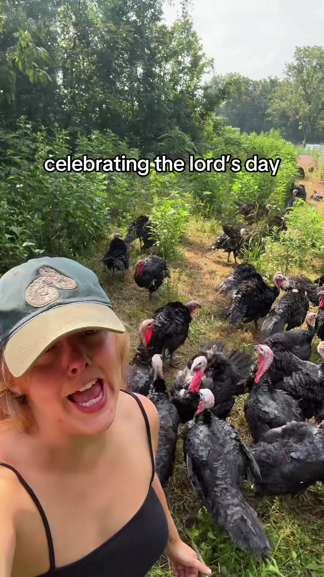 @farmerandtheharpiist