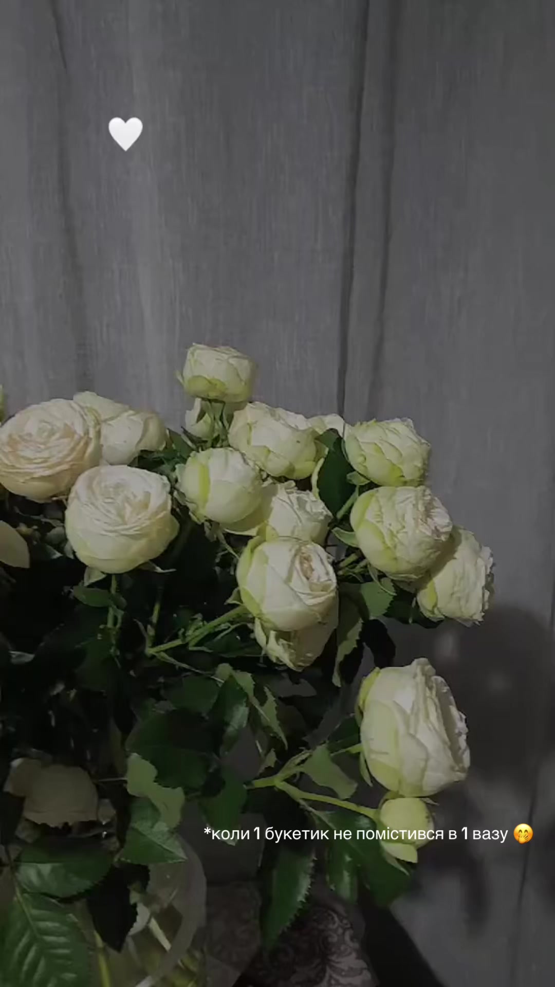@Tatiana⚘️
