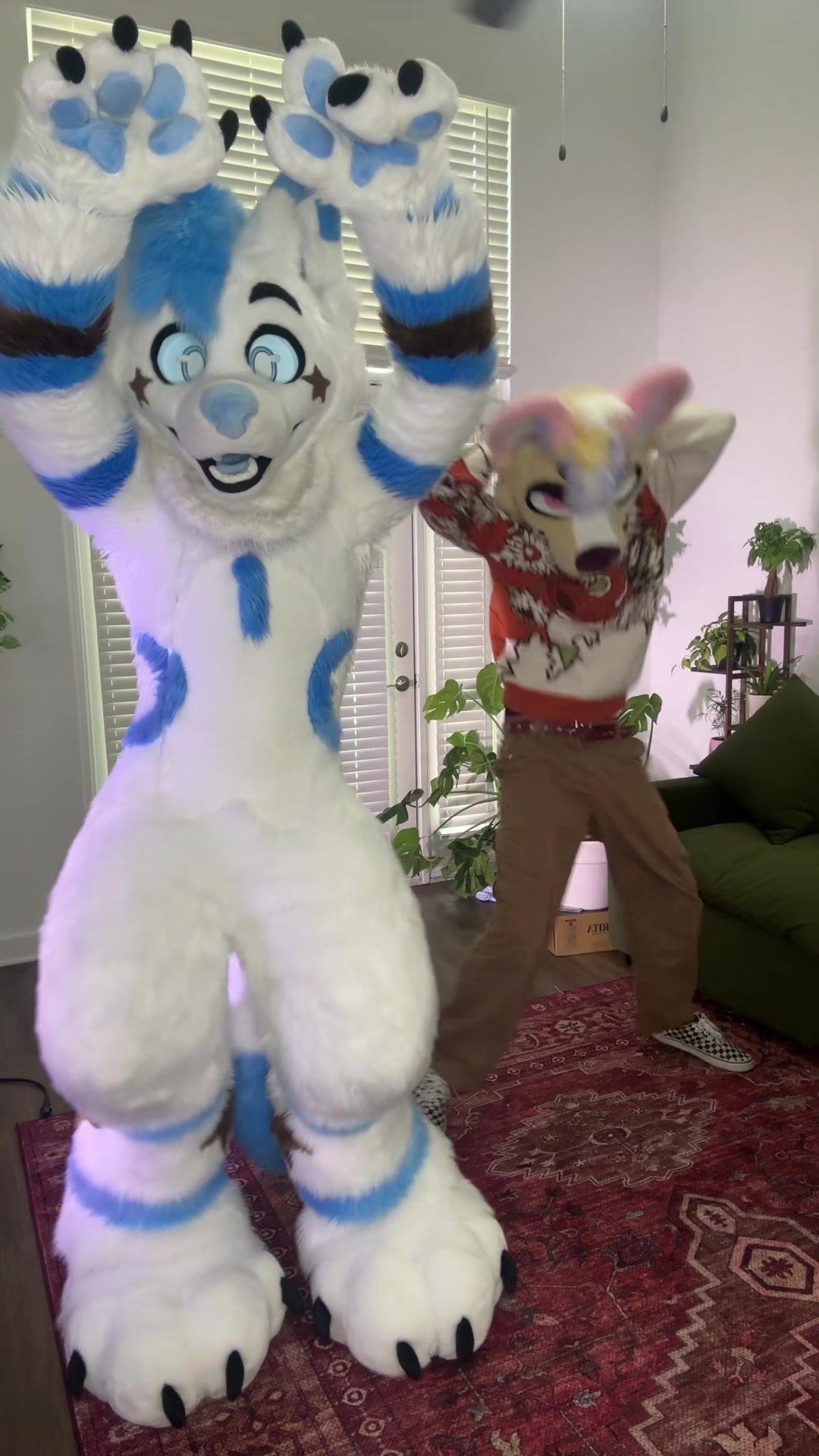 @BlueFoxNova