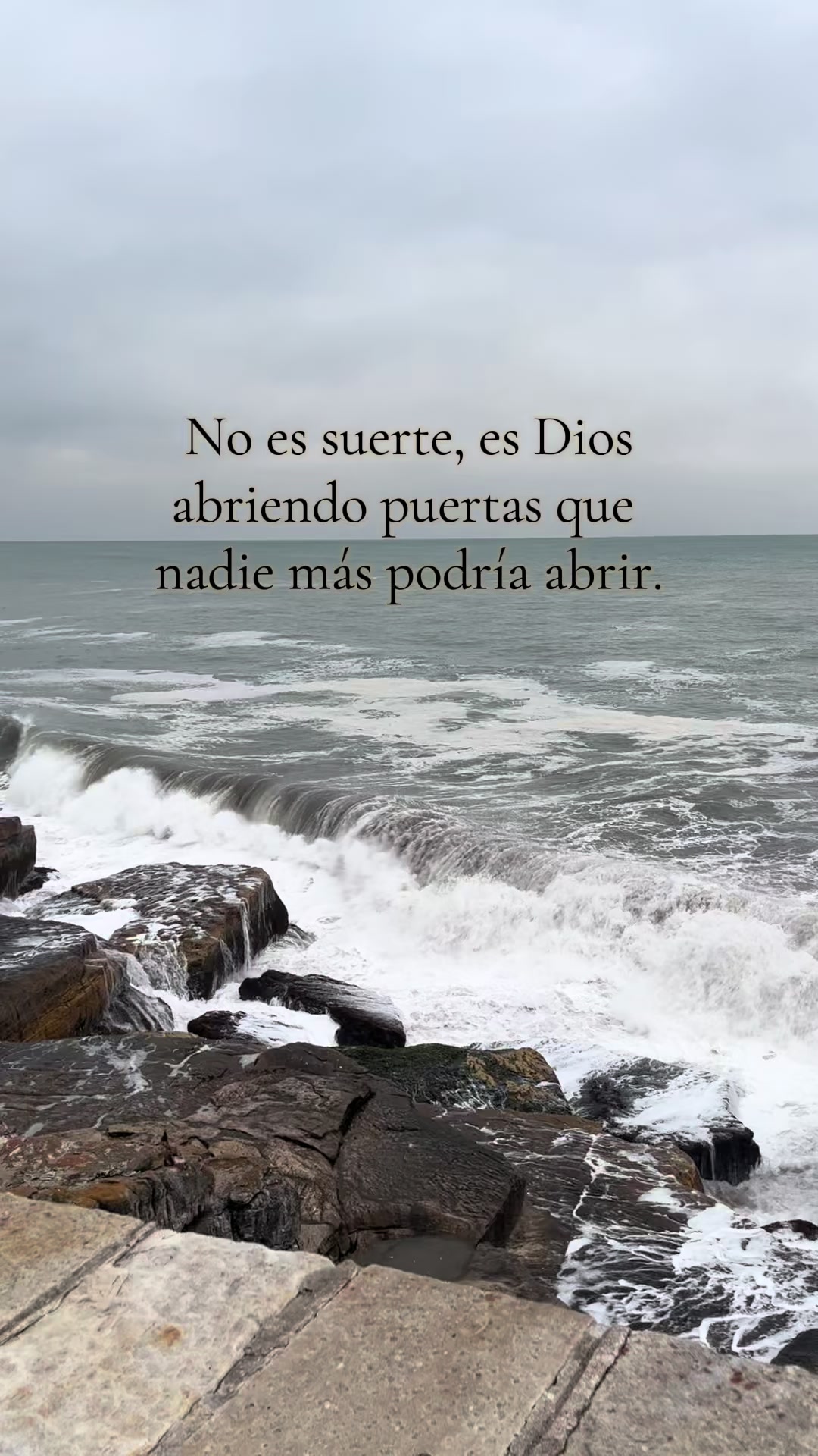 @Maria luz Chiaradia RD0F07