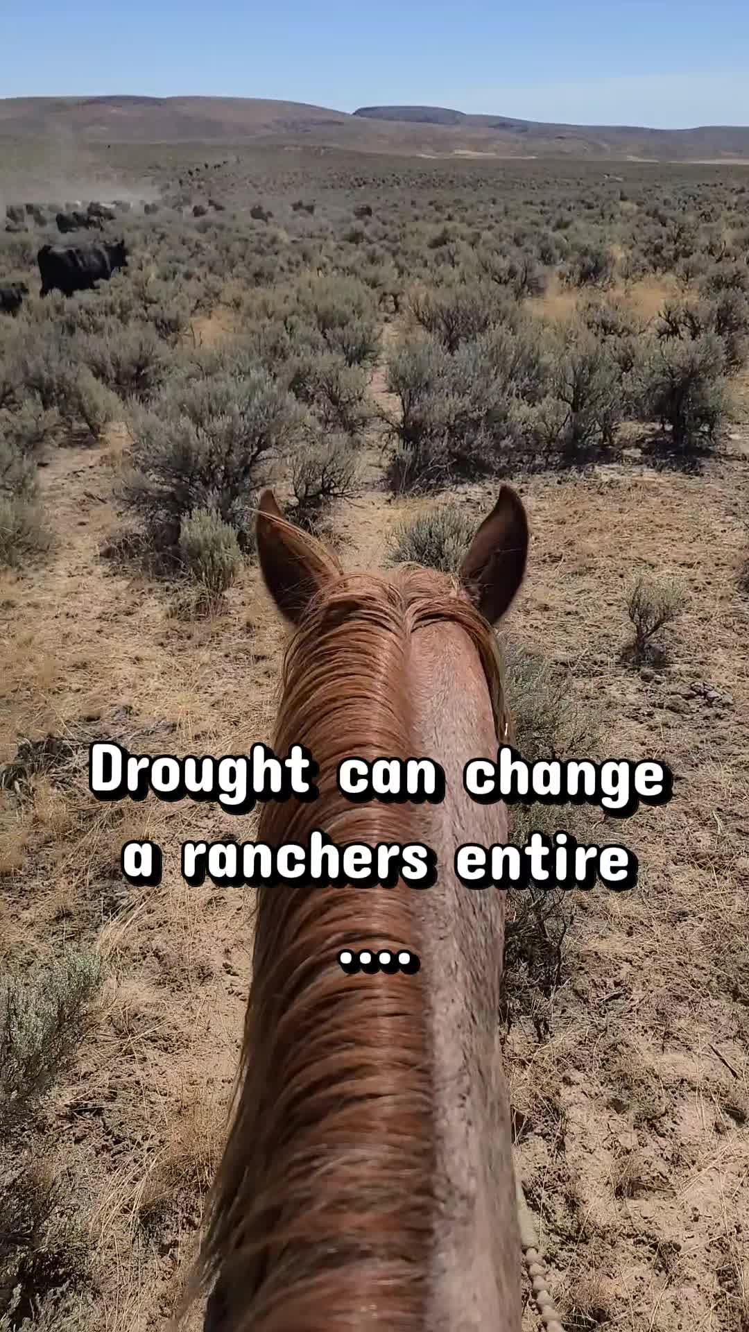 @ARanchersWife