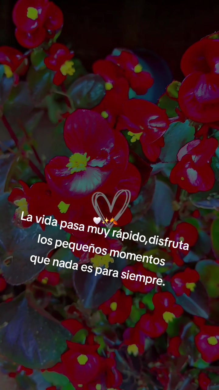 @Karol Gutierrez💕🫶