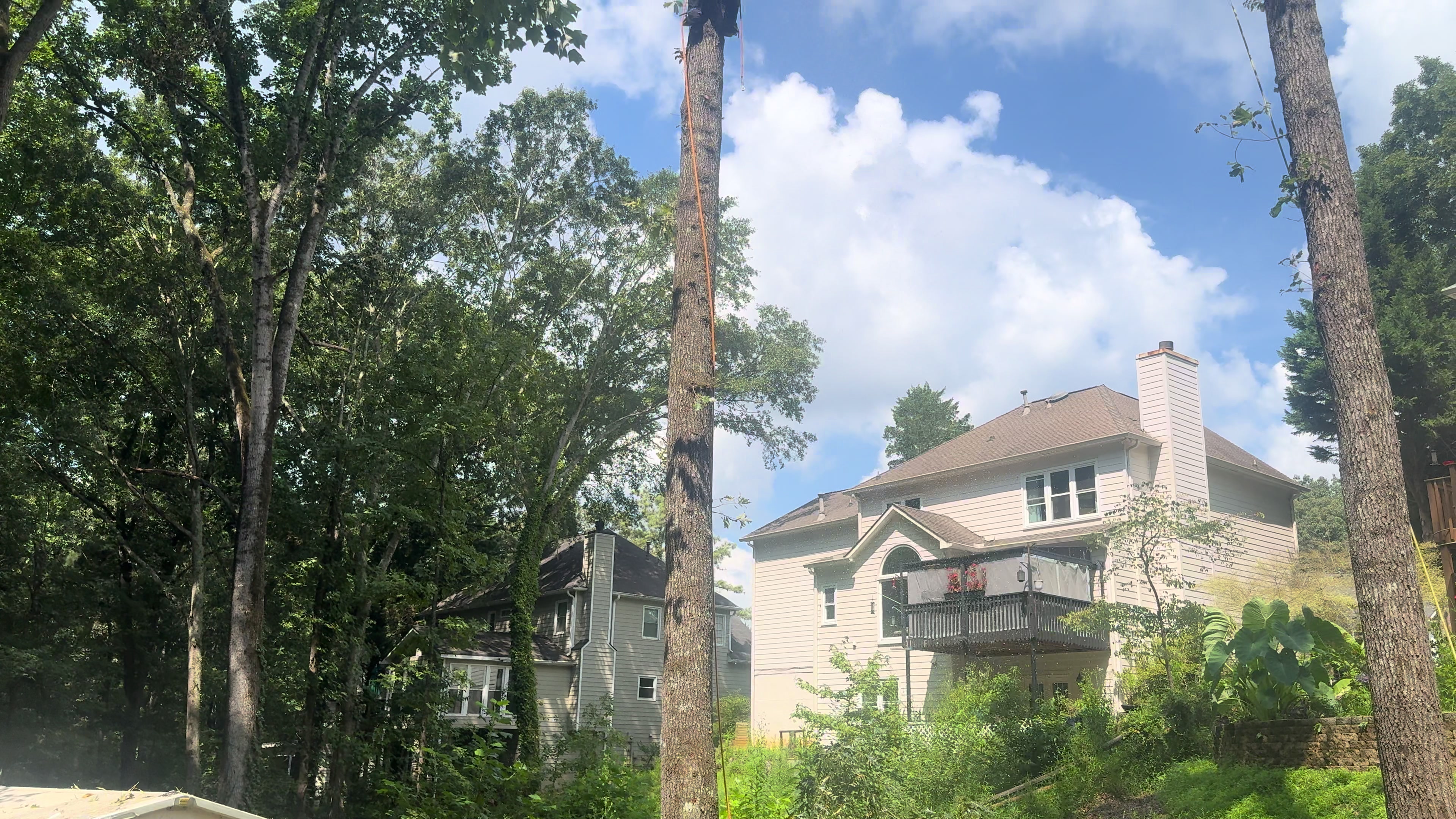 @FIDELMAR TREE CARE LLC