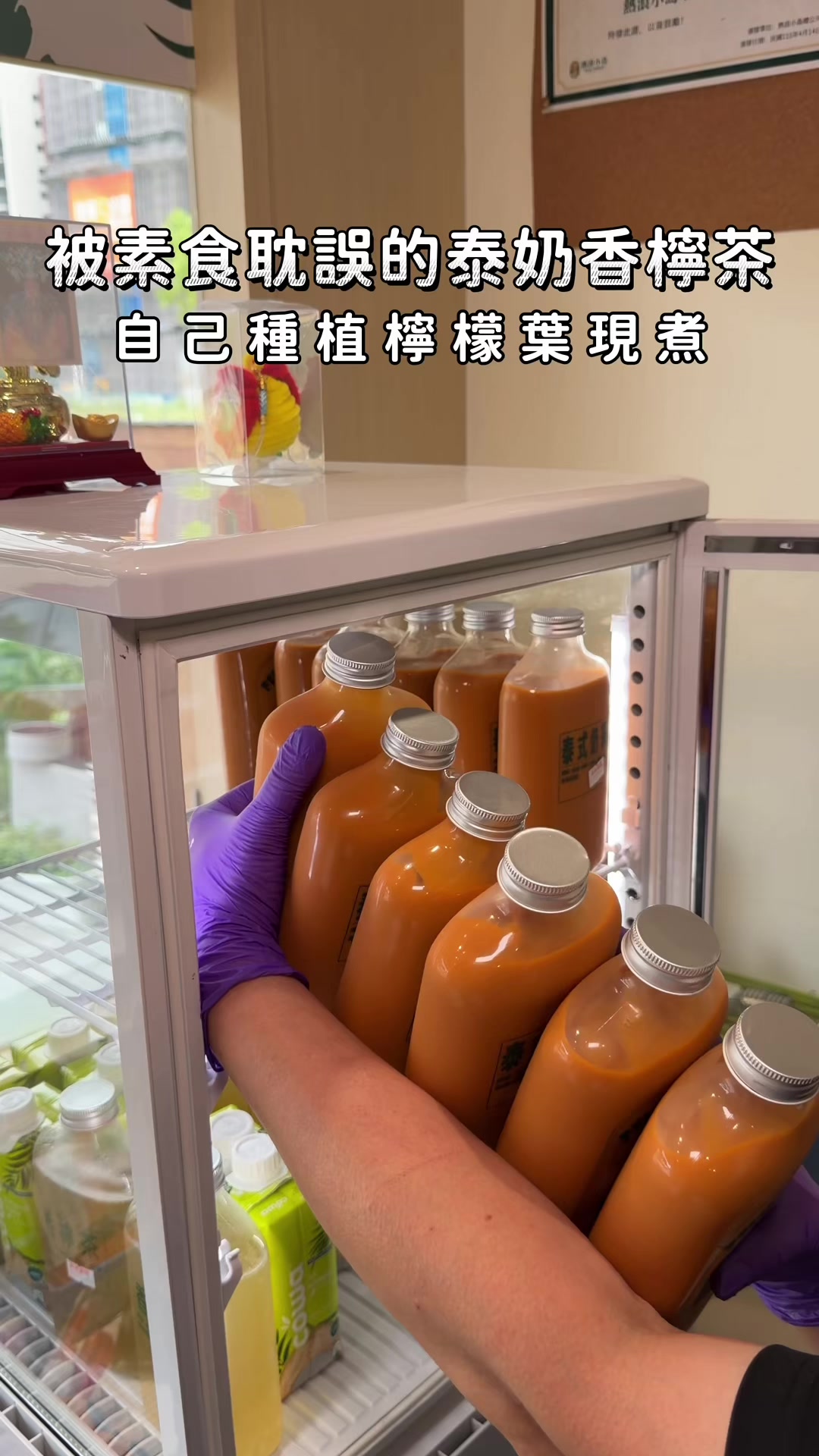 @solo的玩樂指南