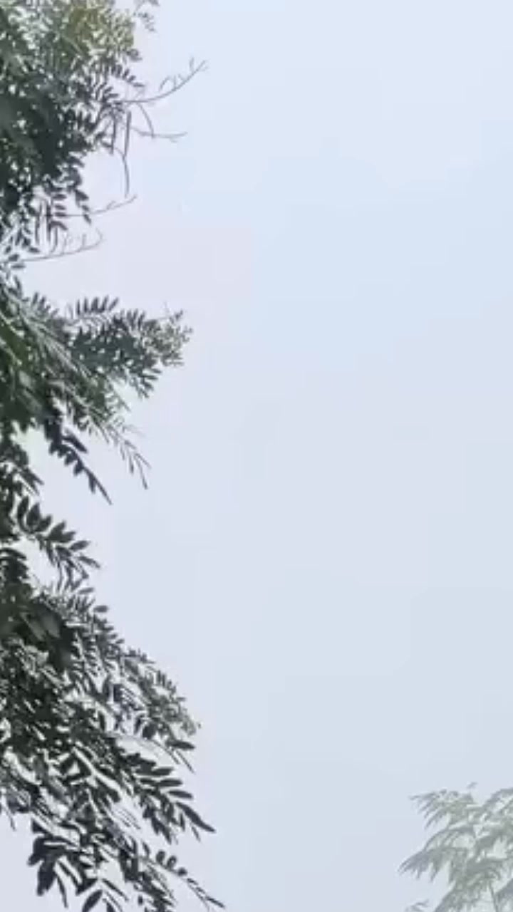 @nature girlđš