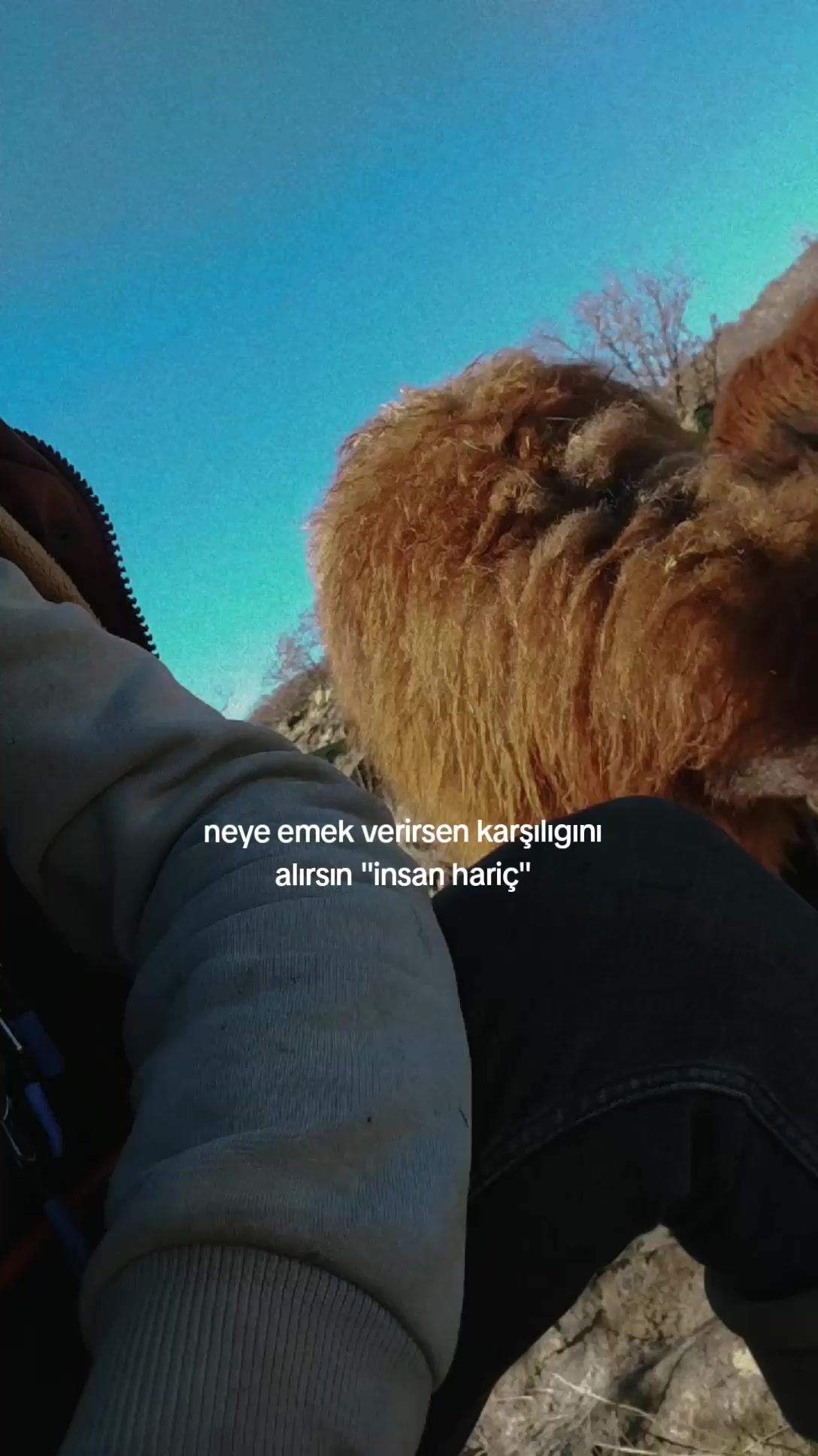 @𝑀𝑒𝓂𝑜_𝒢_𝑅_𝐵_𝒵_