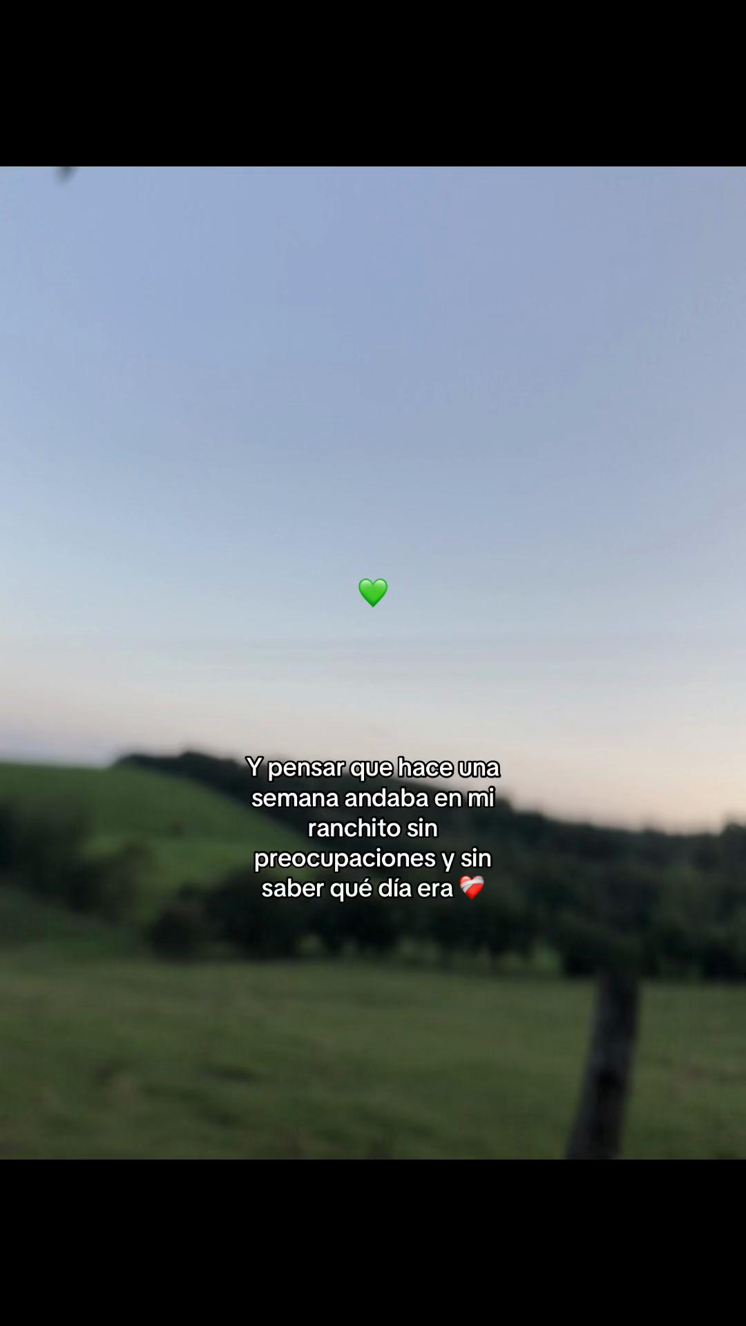 @MelissaHR🍒