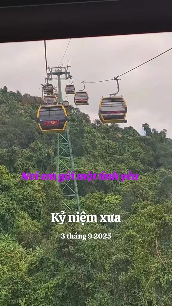 @nguyễn dung