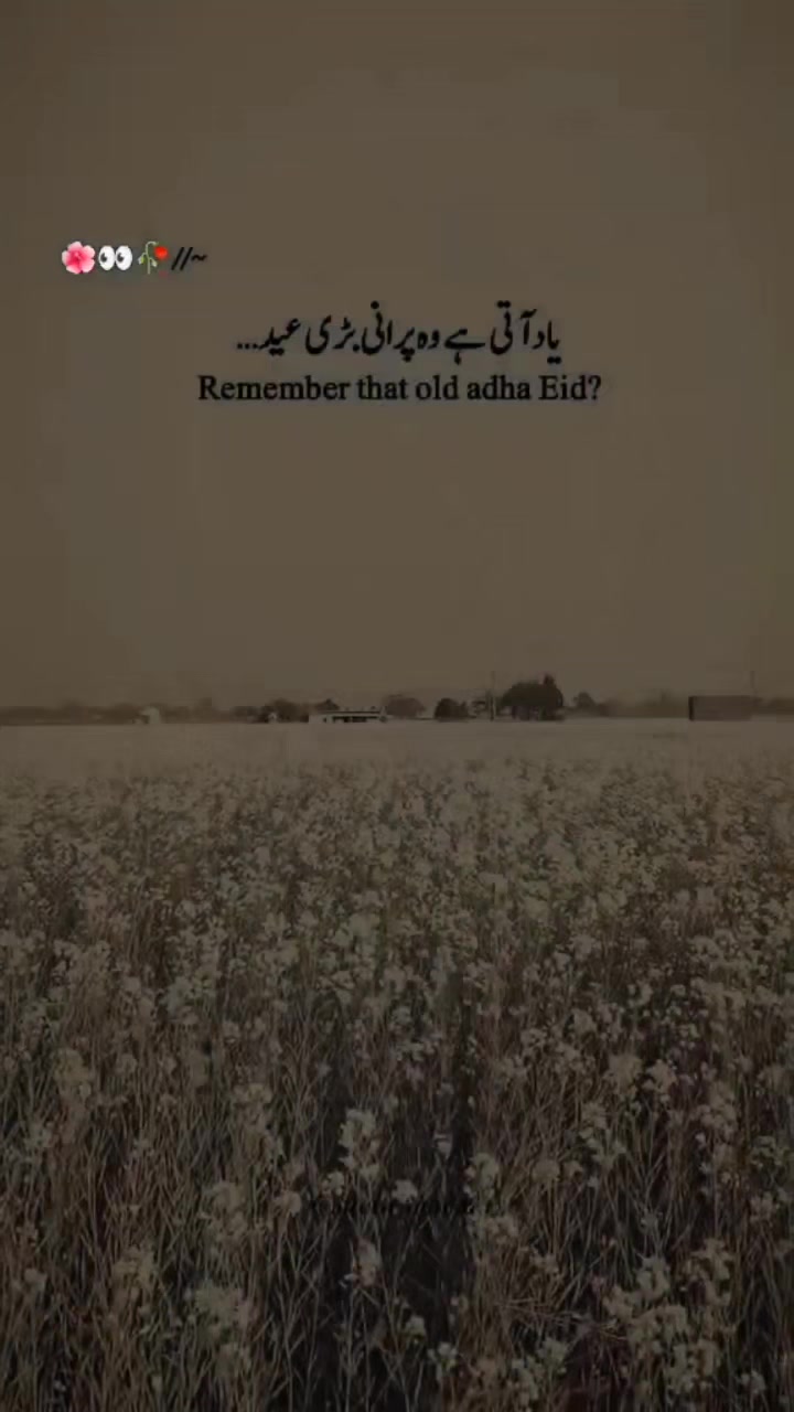 @Sajjad Mahar