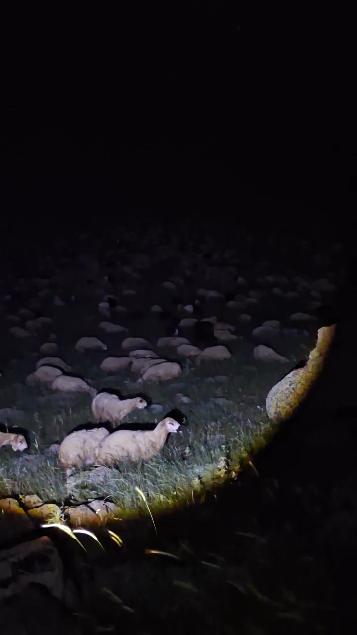 @𝐒𝐨𝐧𝐞𝐫 𝐆𝐮̈𝐝𝐮̈𝐤𝐛𝐨𝐲