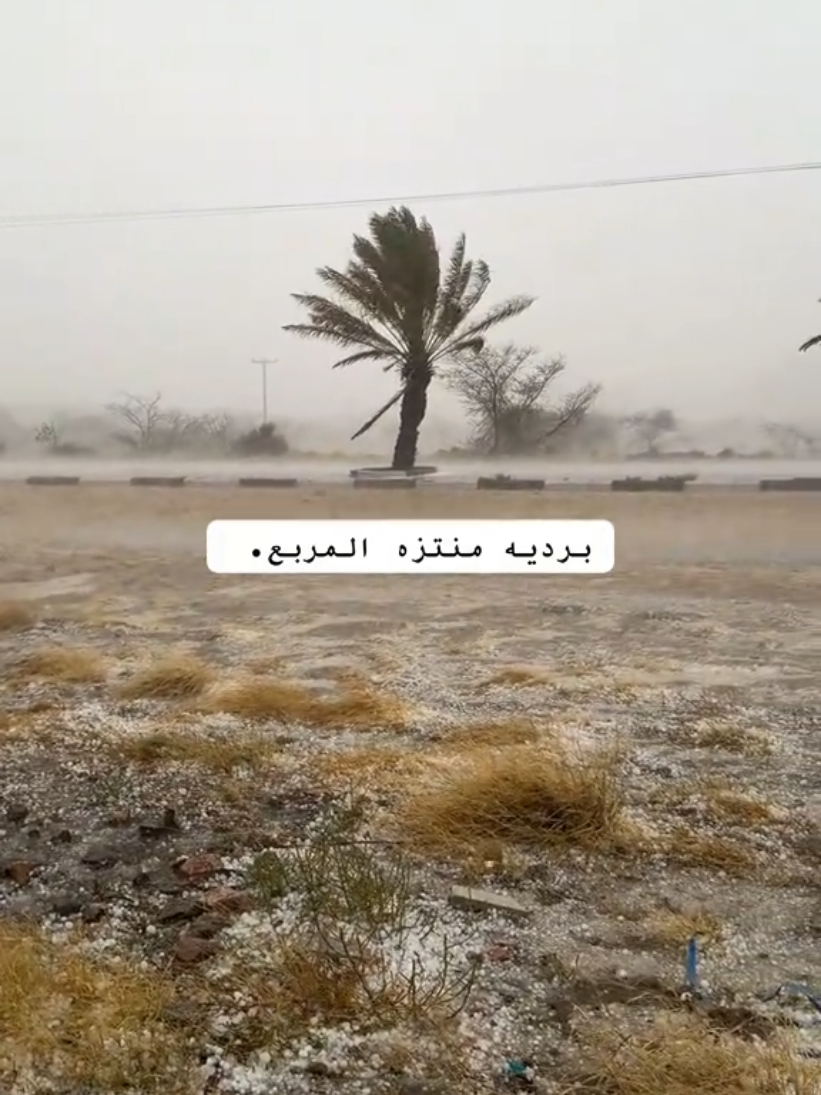 @آبووسآم برق آلَساحل⚡️⛈️