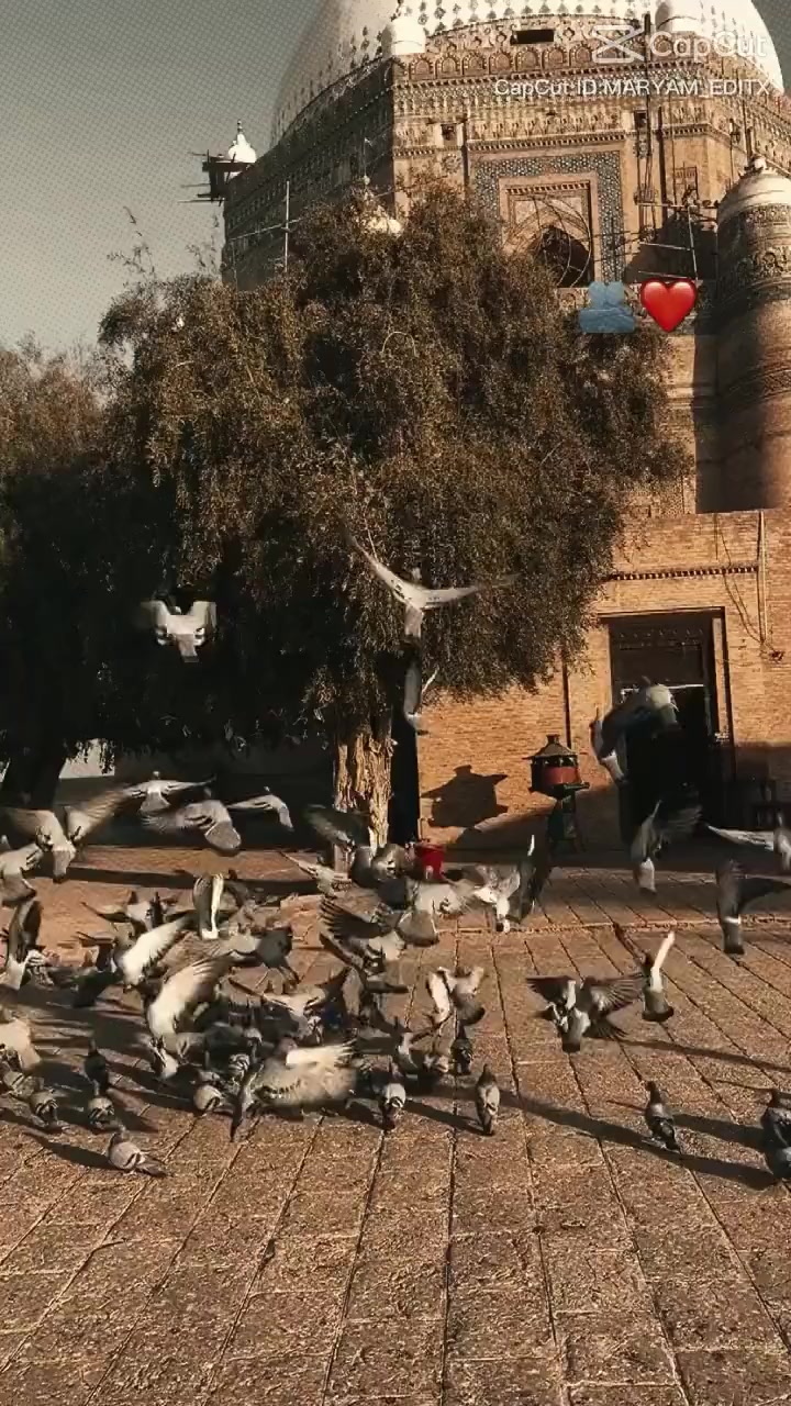 @𝐏𝐫𝐢𝐧𝐜𝐞𝐬𝐬__𝐁𝐚𝐛𝐮シ︎