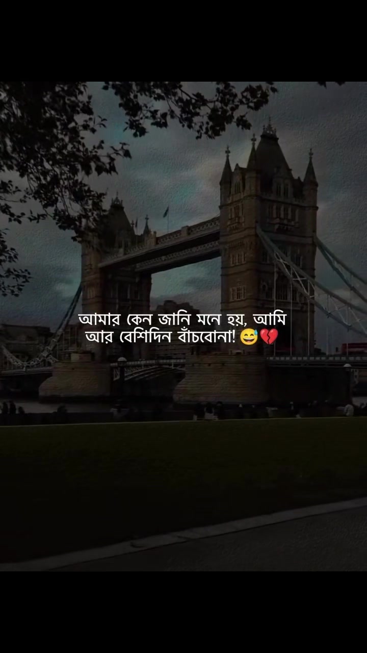 @♥️ROHAN RAKIB🌺