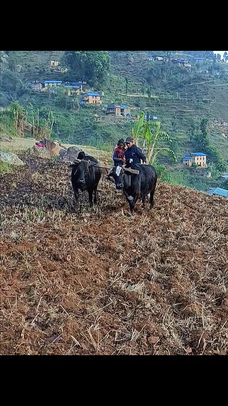 @Nim Bahadur Pariyar 📸🖼️