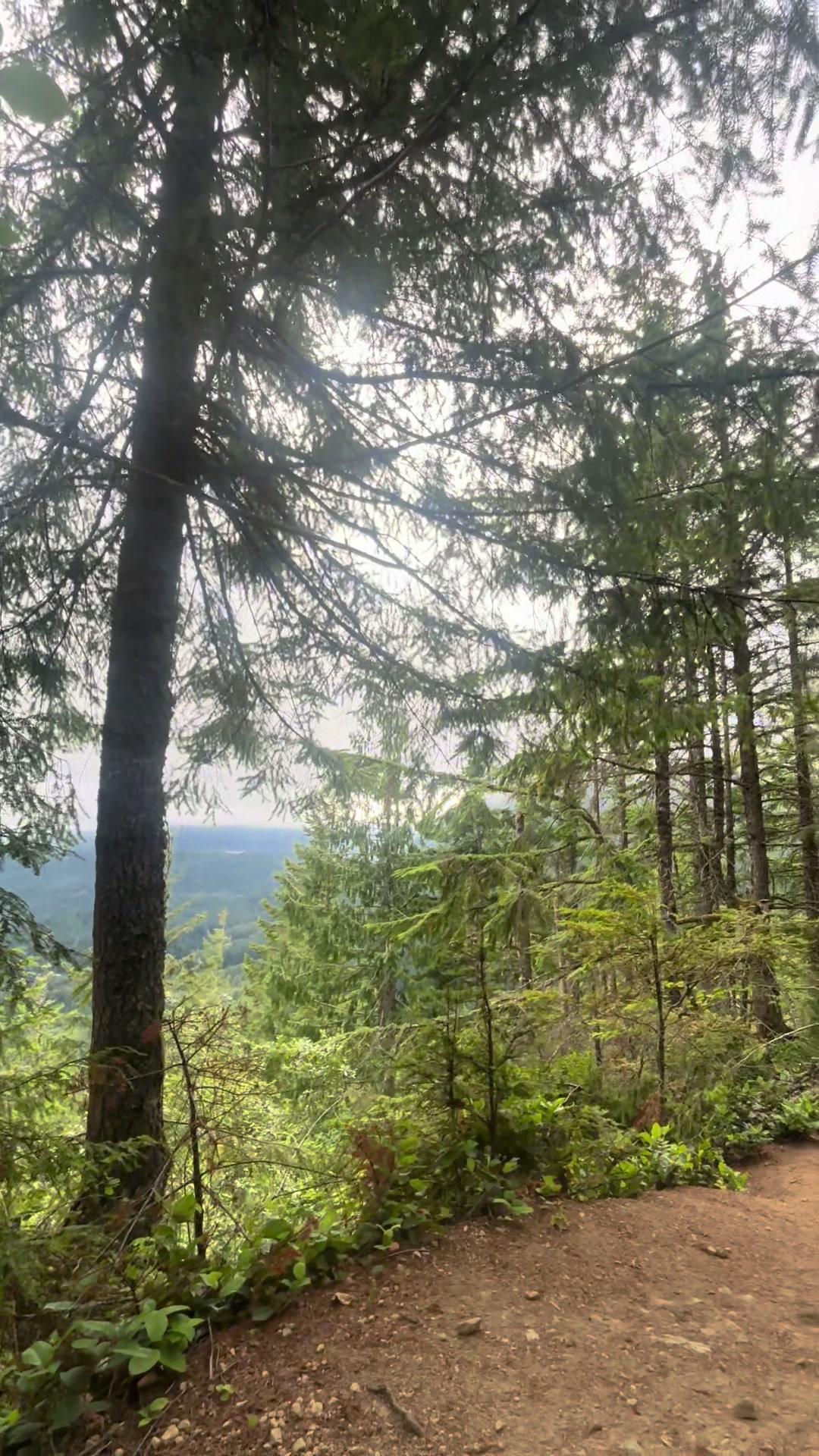 @LifeinthePNW