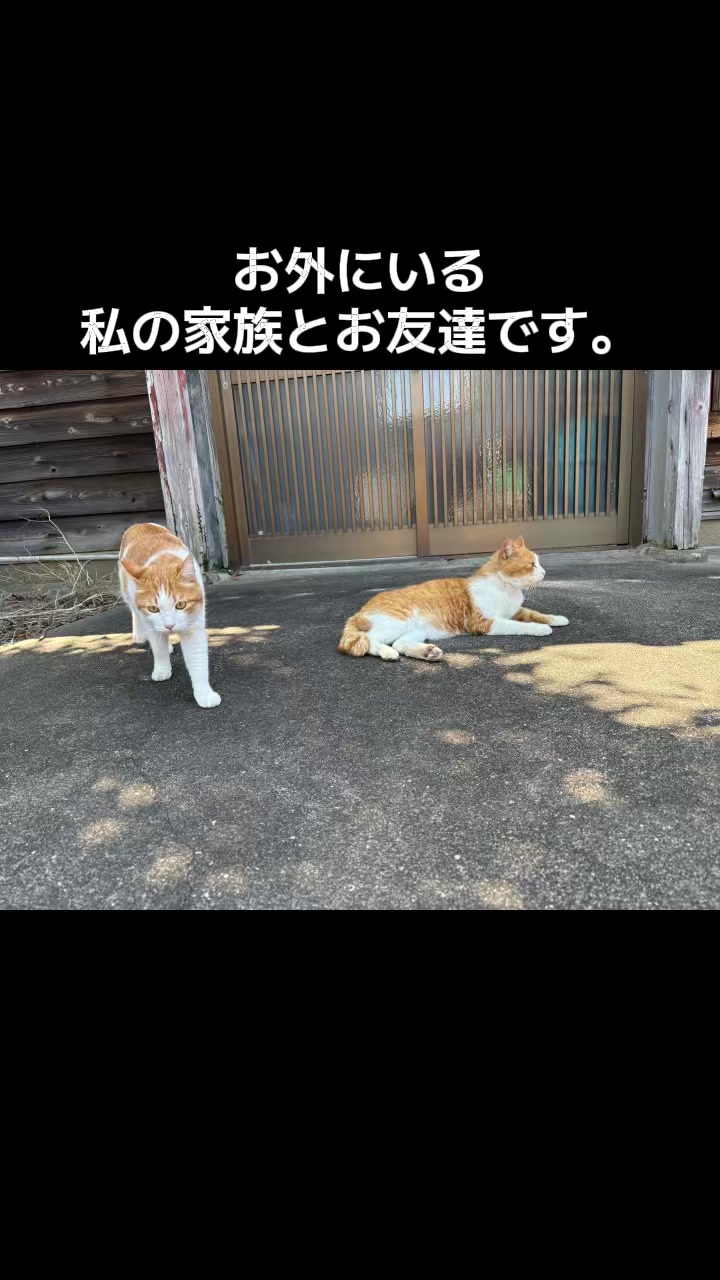 @ブルースカイの倫