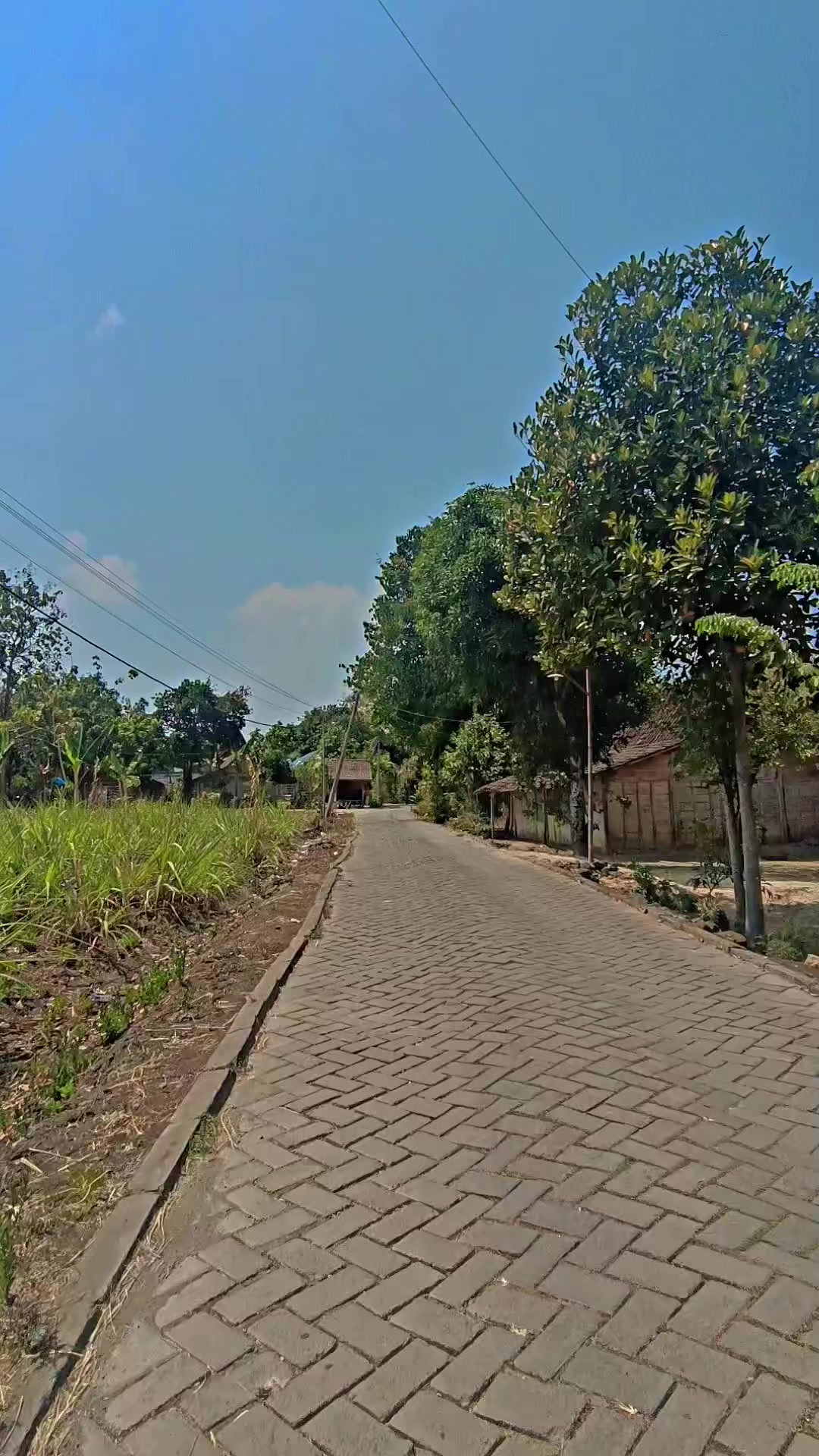 @pesonangawiramah