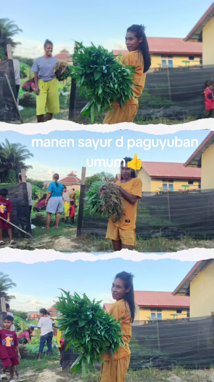 @Caesarius25