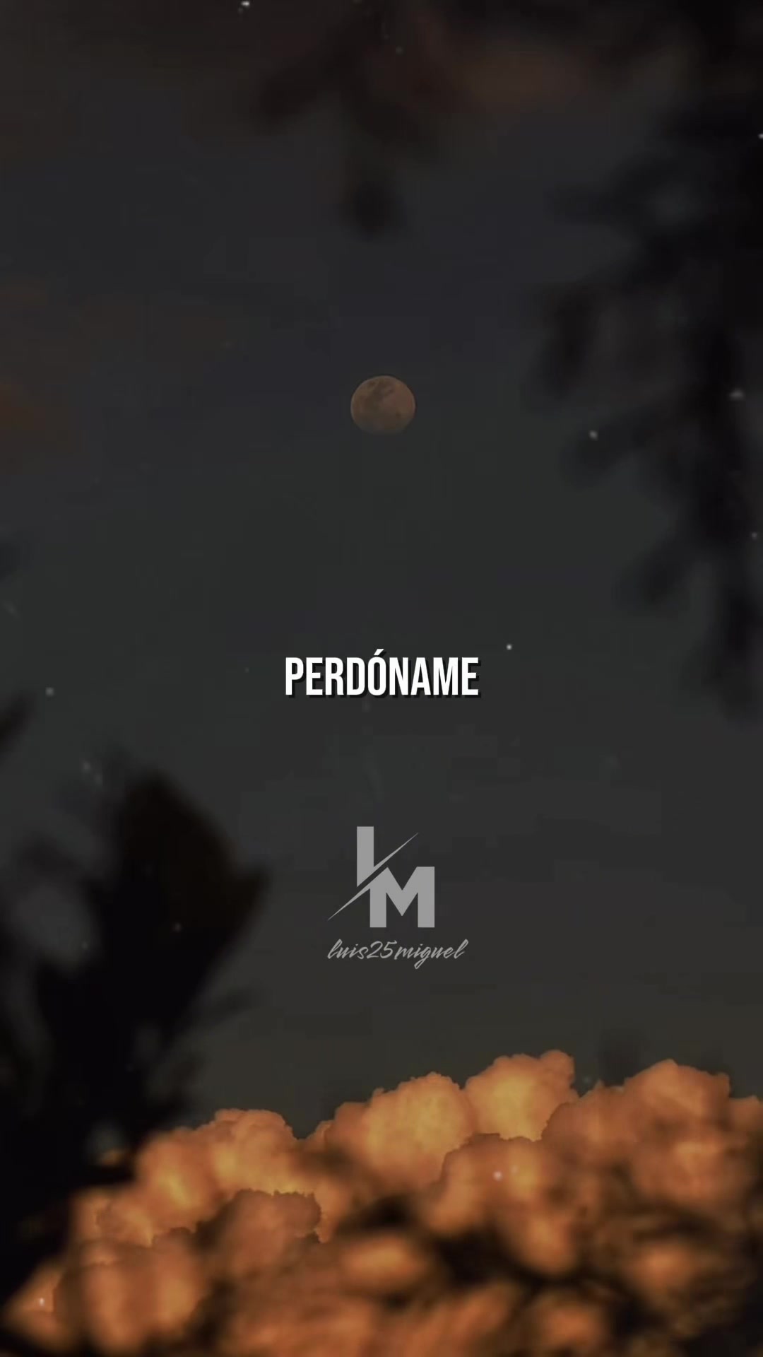 @luis25miguel