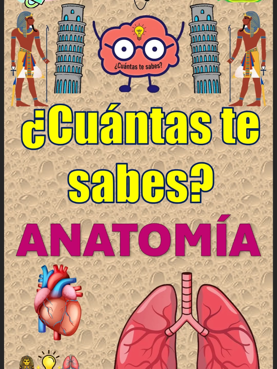 @&iquest;Cu&aacute;ntas te sabes?