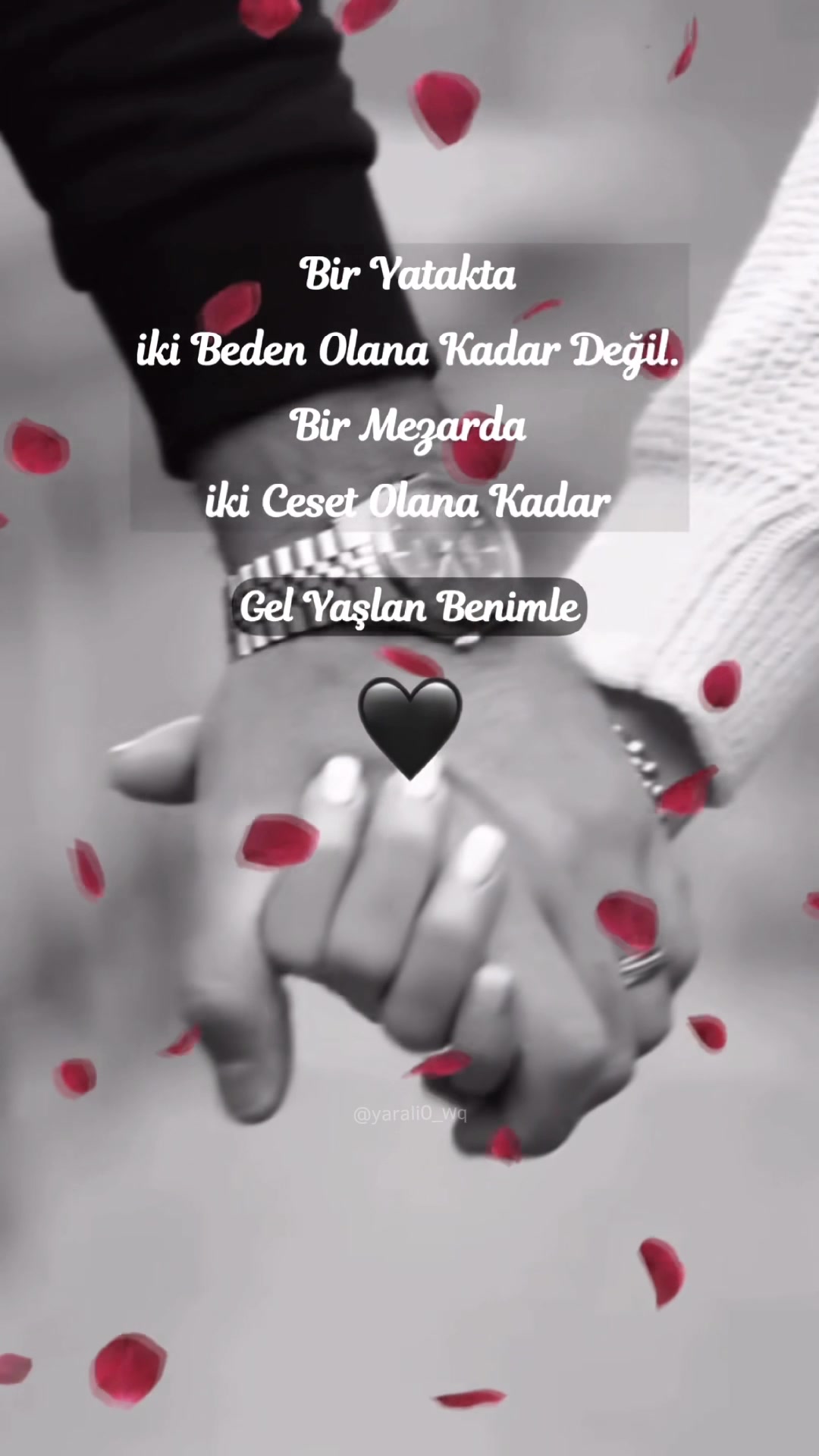 @💛Gαɱȥҽ Nυɾ💙
