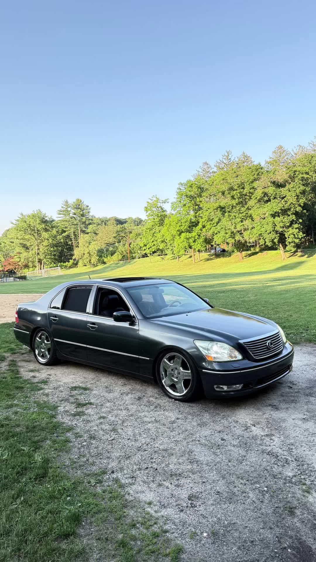 @vip.rod
