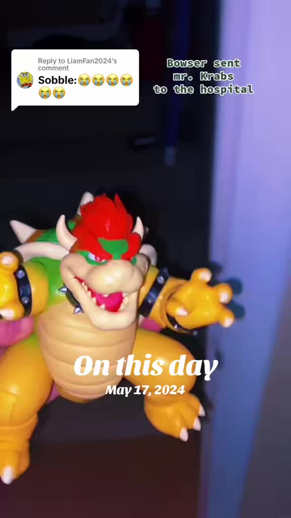 @Supreme Lemmy Koopa